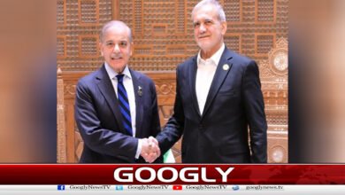 PM holds phone call with Iranian medical experts, discusses peace and stability