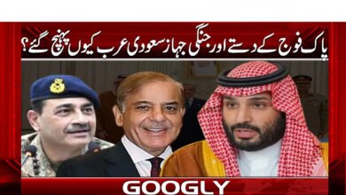 پاک فوج کے دستے اور جنگی جہاز سعودی عرب کیوں پہنچ گئے؟ 2 Why did Pakistan Army troops and warships reach Saudi Arabia?