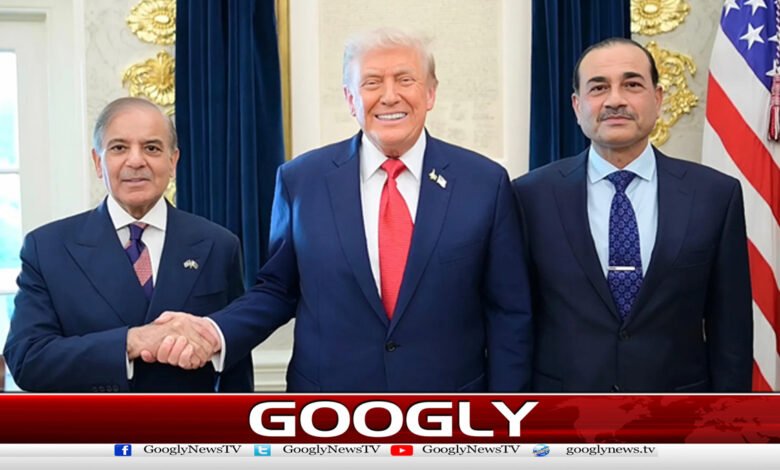 Iran-US talks: Trump praises effective role of Shehbaz Sharif, Field Marshal