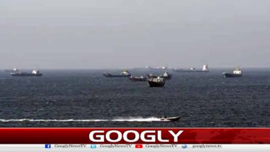 Turkey offers help in clearing mines in Strait of Hormuz