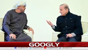 پاکستان نےیواے ای کو 2 ارب ڈالر کی ادائیگی کردی