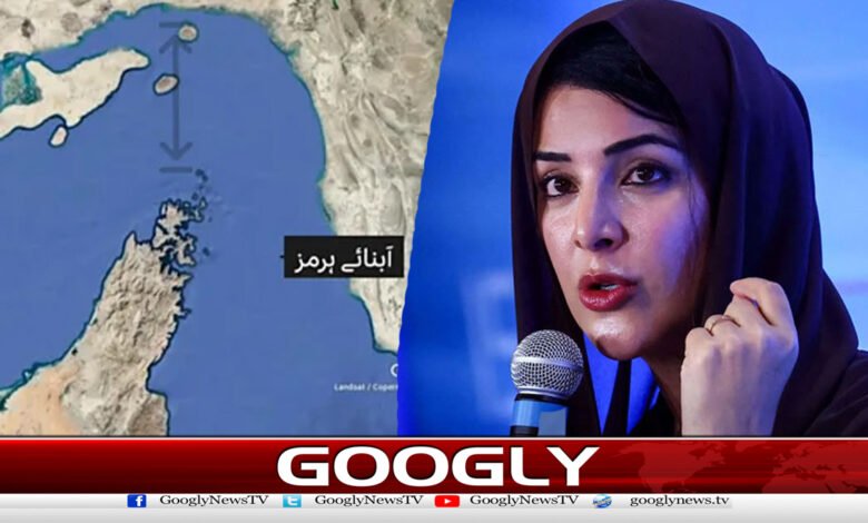 No one should have control over the Strait of Hormuz, says UAE