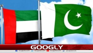 یو اے ای کو ادائیگی،دوست ممالک کی پاکستان کو 5 ارب ڈالردینےکی یقین دہانی
