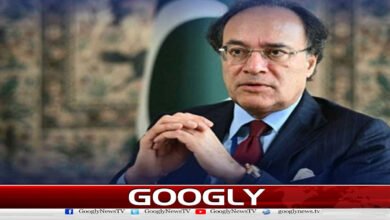 Promoting digital economy is government's priority: Federal Finance Minister