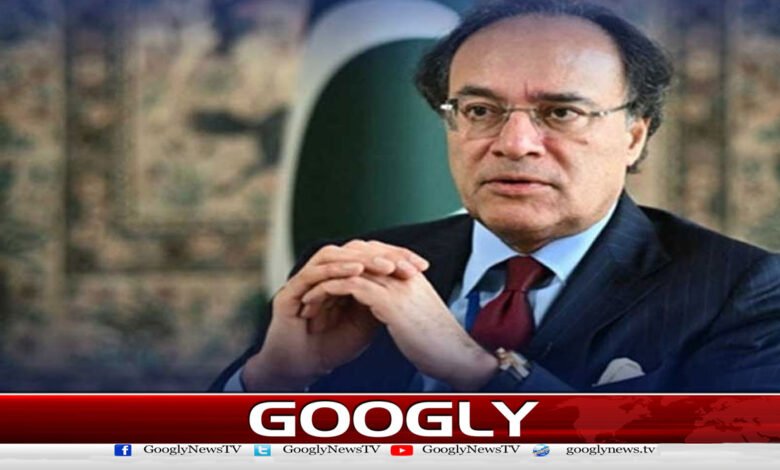 Promoting digital economy is government's priority: Federal Finance Minister