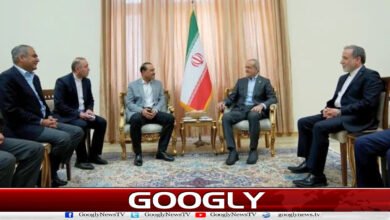 Peacekeeping Mission: Field Marshal meets Iranian President