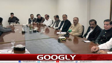 مظفرآباد : وفاقی حکومتی کمیٹی اور عوامی ایکشن کمیٹی کے مذاکرات ختم 2 Muzaffarabad: Negotiations between the federal government committee and the Public Action Committee have ended.