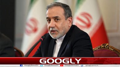 Progress is being made in talks with the US due to Pakistan's efforts: Iranian Foreign Minister