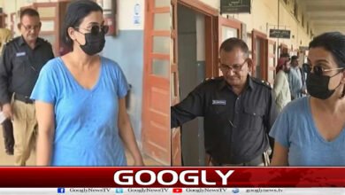 Karachi Police seeks FIA help in investigating Anmol Pinky case