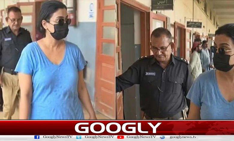 Karachi Police seeks FIA help in investigating Anmol Pinky case