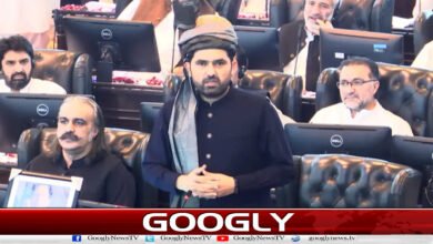 پی ٹی آئی کے 20 سے زائد ارکان اسمبلی وزیراعلیٰ سہیل آفریدی سے ناراض ہوگئے 2 More than 20 PTI MPAs angry with Chief Minister Sohail Afridi