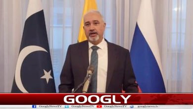 Pakistan considering importing oil and gas from Russia: Pakistani ambassador