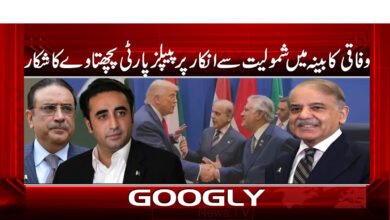 PPP regrets refusal to join federal cabinet