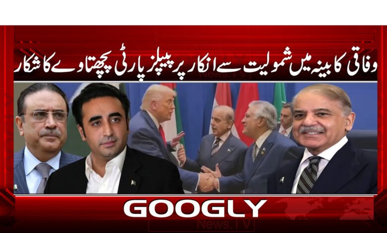PPP regrets refusal to join federal cabinet