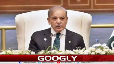 Pakistan played a significant role in the ceasefire between Iran and the US: Prime Minister