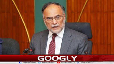Pakistan stood as one nation and fought the enemy: Ahsan Iqbal