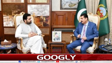 Good working relationship with Sohail Afridi: Governor Khyber Pakhtunkhwa