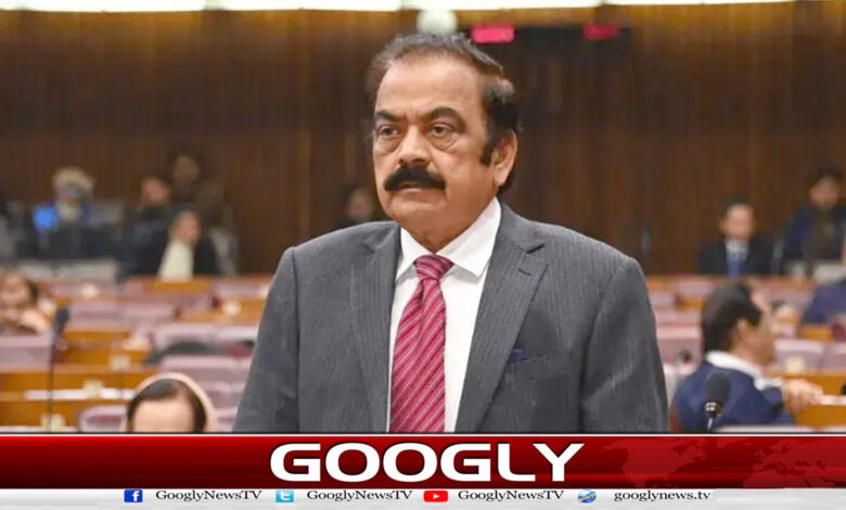 3 بجٹ سے قبل 28ویں آئینی ترمیم 28ویں آئینی ترمیم رانا ثناء اللہ