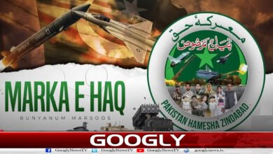 The enemy saw a practical demonstration of Pakistan's strength, Pakistani forces