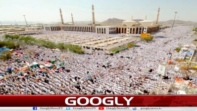 حج کا سب سے رکن اعظم “وقوفِ عرفہ” آج ادا کیا جائے گا 5 The most important pillar of Hajj, “Waquf-e-Arafah”, will be performed today