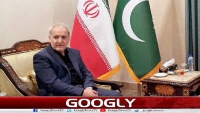 Pakistan's sincere efforts can pave the way for lasting peace: Iranian ambassador