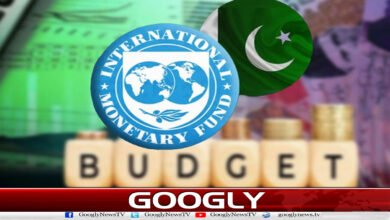 آئی ایم ایف کی ہائبرڈ اور الیکٹریکل گاڑیوں پر سیلز ٹیکس چھوٹ برقرار رکھنے کی مخالفت 2 IMF opposes maintaining sales tax exemption on hybrid and electric vehicles