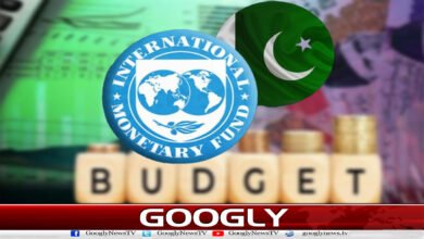 IMF pressure: Decision to end subsidies on petroleum products in budget