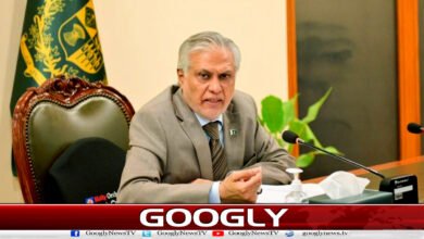 National unity has proven to be our greatest strength: Ishaq Dar