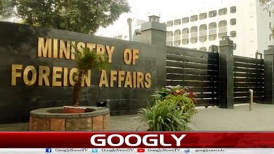 Stopping Global Samood flotilla and arresting workers is illegal: Foreign Office