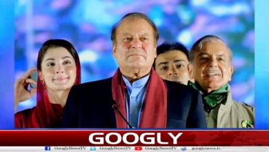 Fruit of Sharif family's power: Corruption cases begin to end