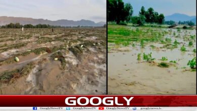 Torrential rains and flash floods wreak havoc in South Waziristan