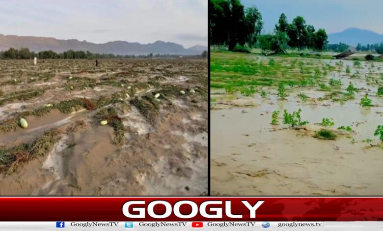 Torrential rains and flash floods wreak havoc in South Waziristan