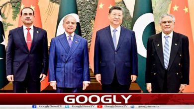 Pakistan, China agree to further strengthen strategic partnership: Joint Declaration
