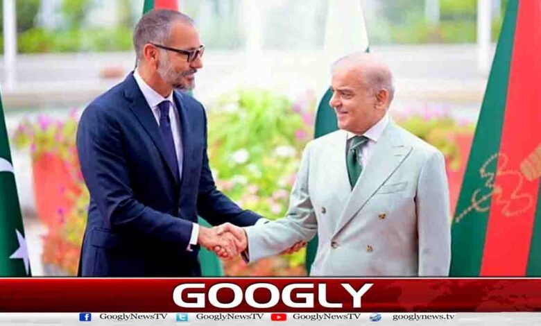 وزیراعظم سے پرنس رحیم آغا خان پنجم کی ملاقات 1 Prince Rahim Aga Khan V meets the Prime Minister