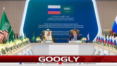 Visa-free agreement between Saudi Arabia and Russia comes into effect