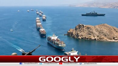 Revolutionary Guards claim 28 ships passed through the Strait of Hormuz in 24 hours
