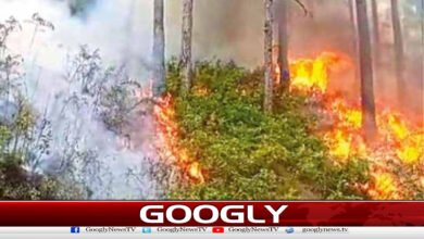 Fire breaks out in forests of Murree, Kotli Satyan