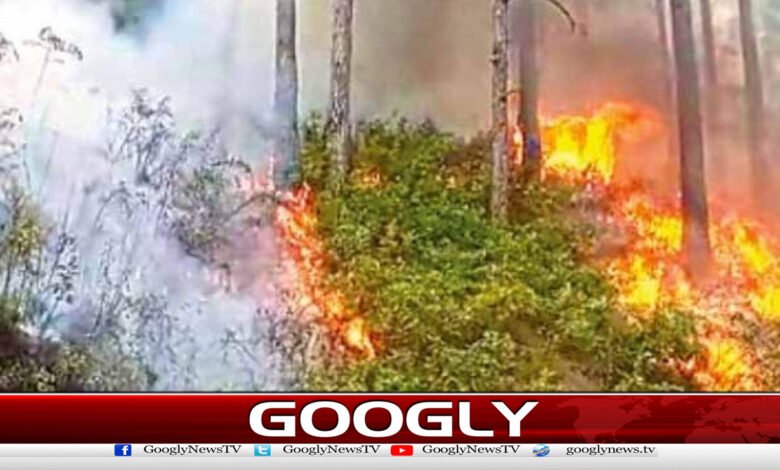 Fire breaks out in forests of Murree, Kotli Satyan