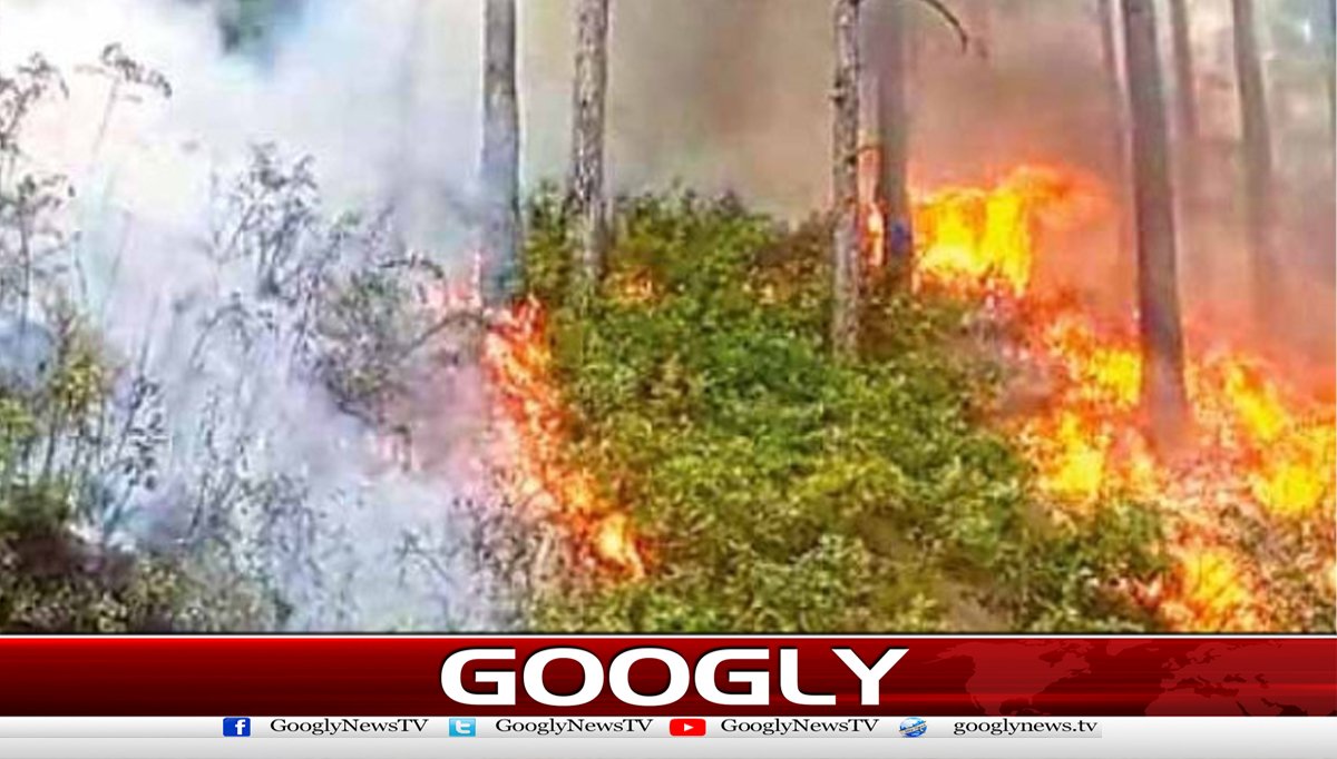 مری،کوٹلی ستیاں کے جنگلات میں آگ بھڑک اٹھی