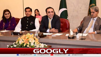 Bilawal Bhutto forms 4-member committee to negotiate with government on budget