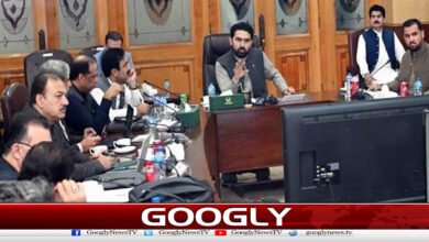 خیبرپختونخوا کابینہ میں توسیع،ارکان کی تعداد30تک پہنچ گئی 2 Khyber Pakhtunkhwa cabinet expanded, number of members reaches 30
