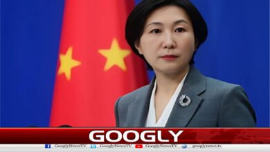Prolonging the war in the Middle East is not in anyone's best interest, says China