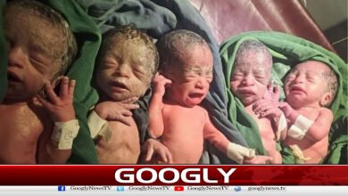 ایتھوپیا: 12 سال بعد خاتون کے ہاں بیک وقت 5 بچوں کی پیدائش 5 Ethiopia: Woman gives birth to quintuplets at once after 12 years