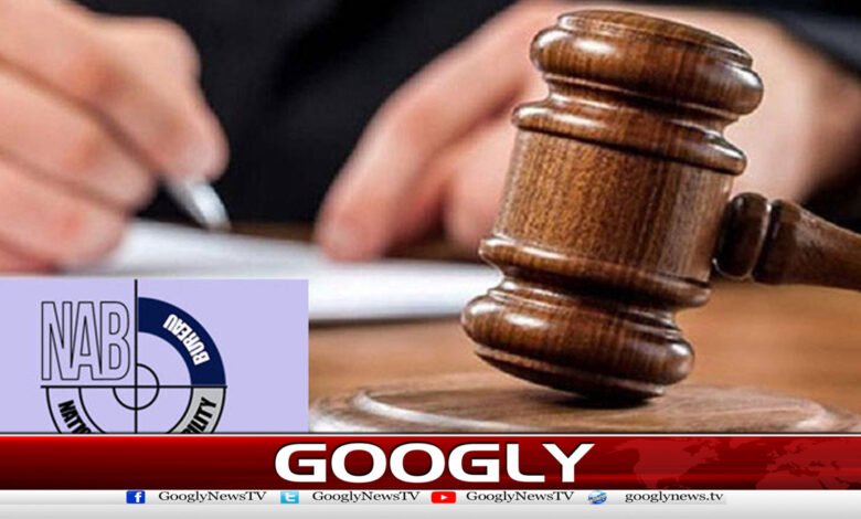 Mufti Ehsan-ul-Haq reference: Court sentences 7 people