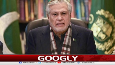 Pak-China leadership is jointly setting development goals, says Ishaq Dar