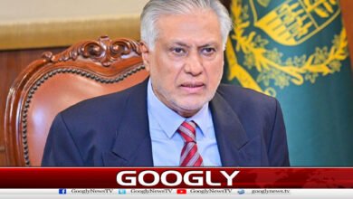 India's blocking of Pakistani water is tantamount to war, says Ishaq Dar