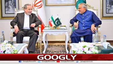 Iranian Foreign Minister calls on Ishaq Dar, discusses tense situation in the region