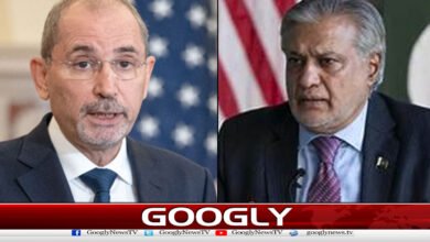 Ishaq Dar, Jordanian counterpart hold talks, discuss regional situation