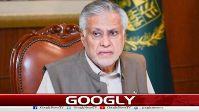 Pakistan will continue its sincere efforts for lasting peace in the region, Ishaq Dar