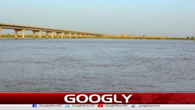 Flood alert issued in Chenab River